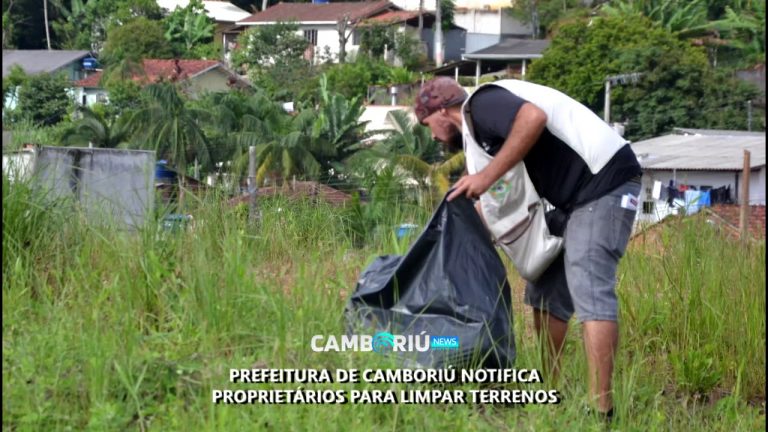 Proprietários devem realizar limpeza em terrenos